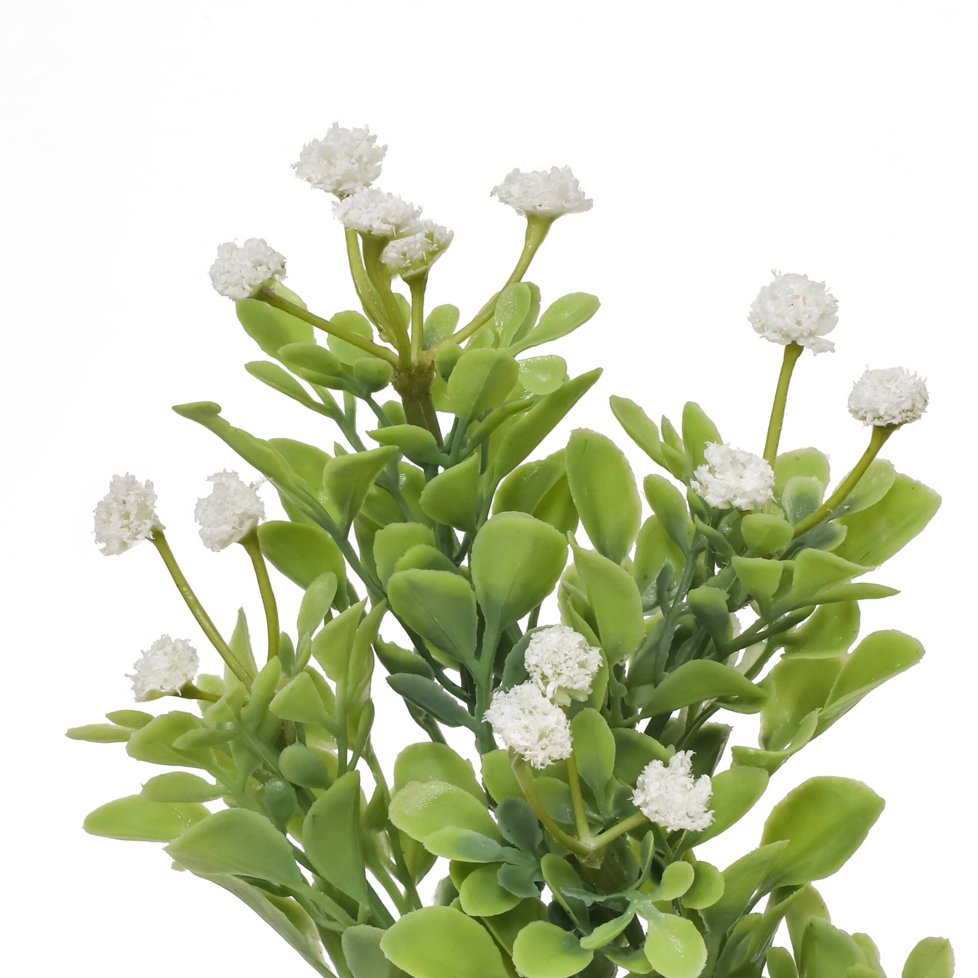 19" Cream Baby's Breath & Boxwood Bush by Ashland®